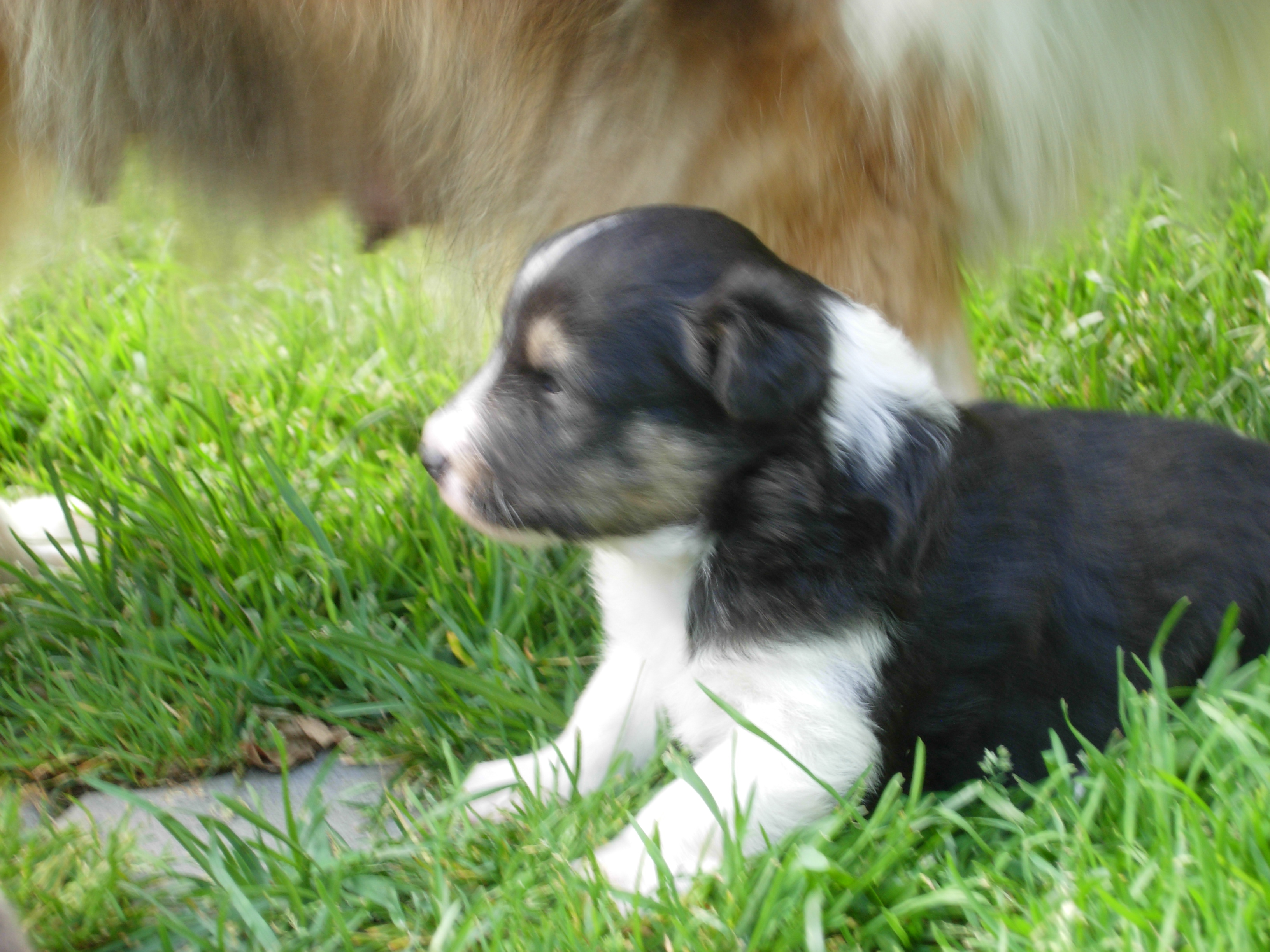 DSCN0785.JPG