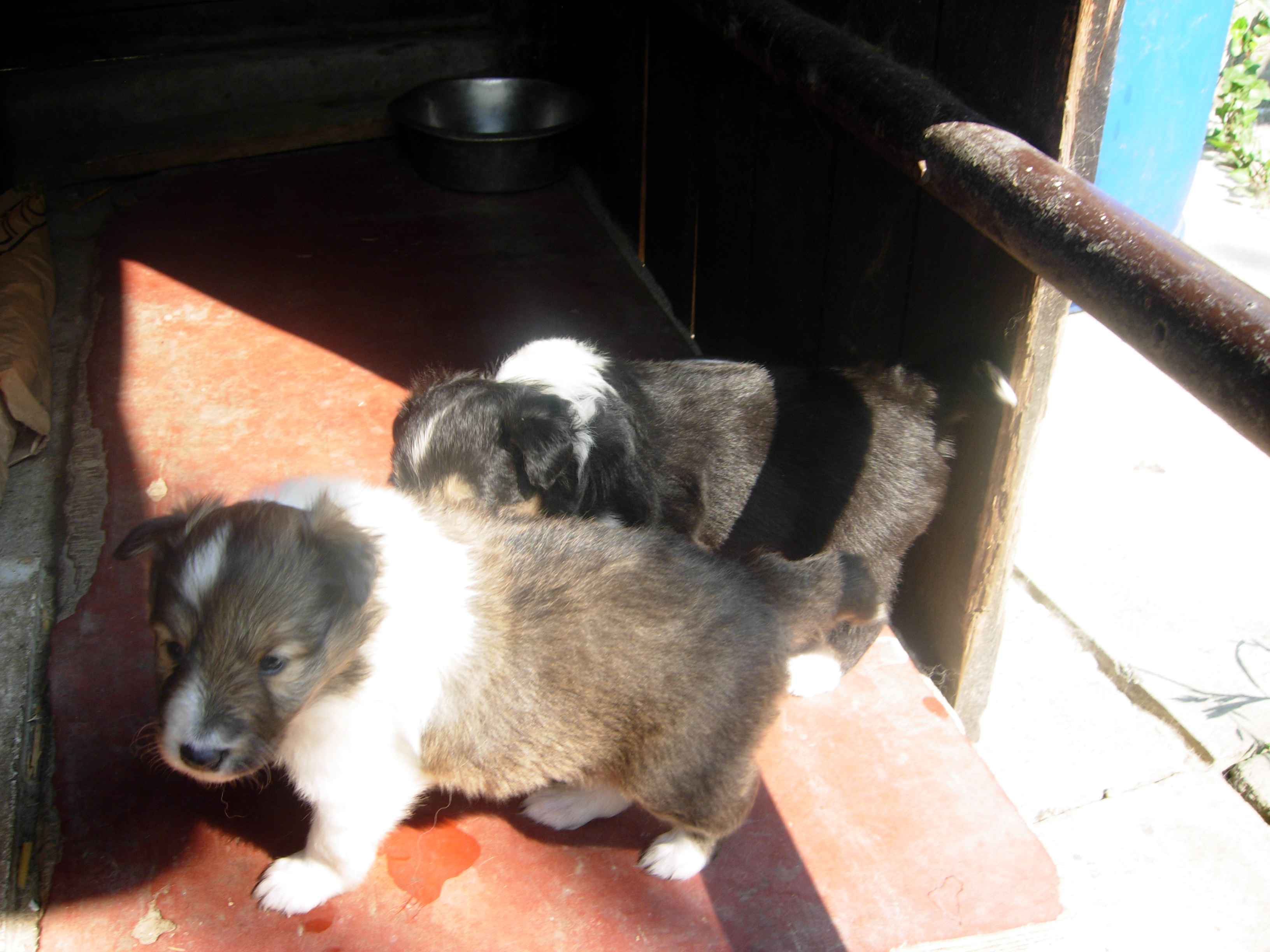 DSCN0970.JPG
