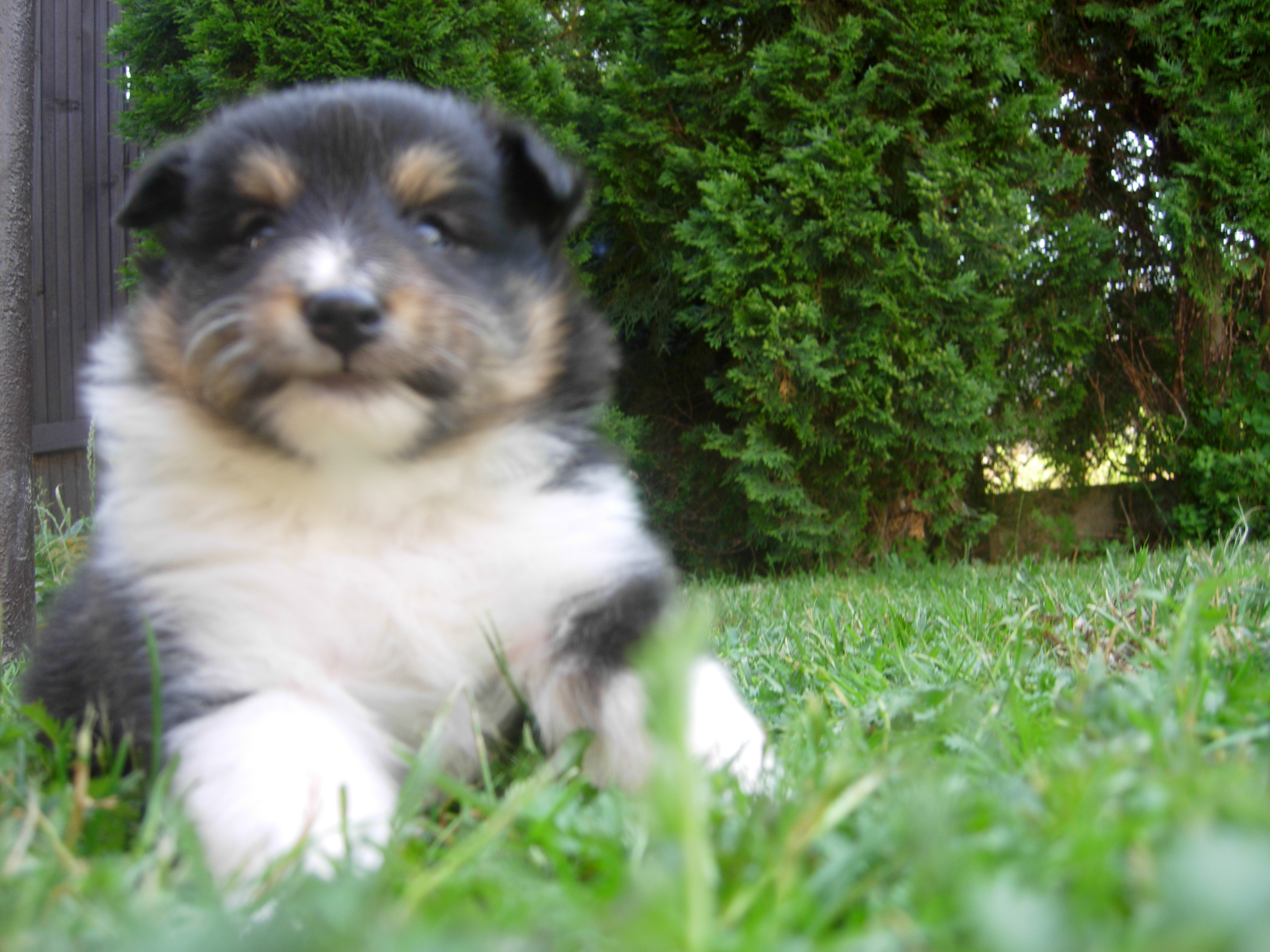 DSCN1271.JPG