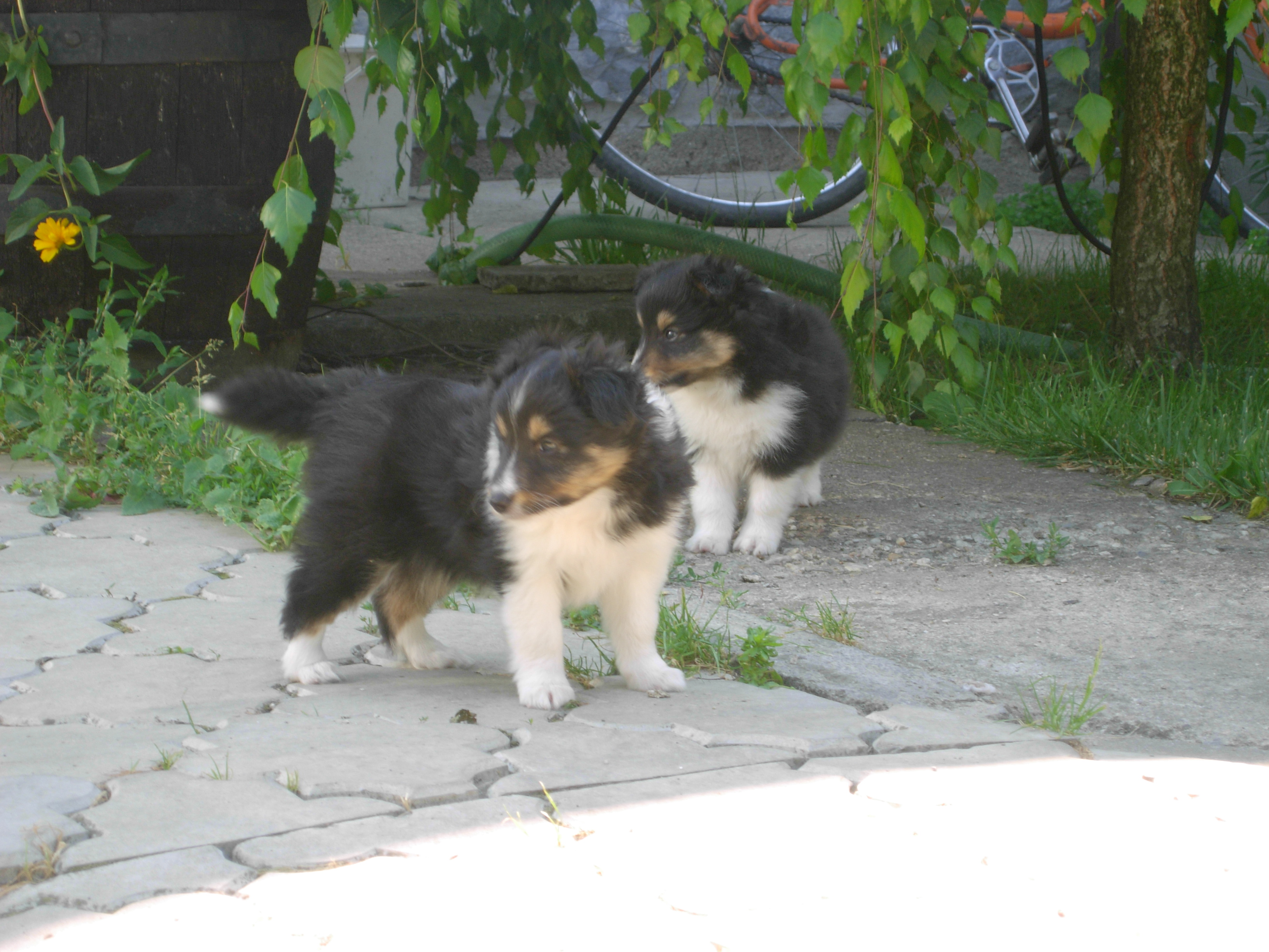 DSCN1597.JPG