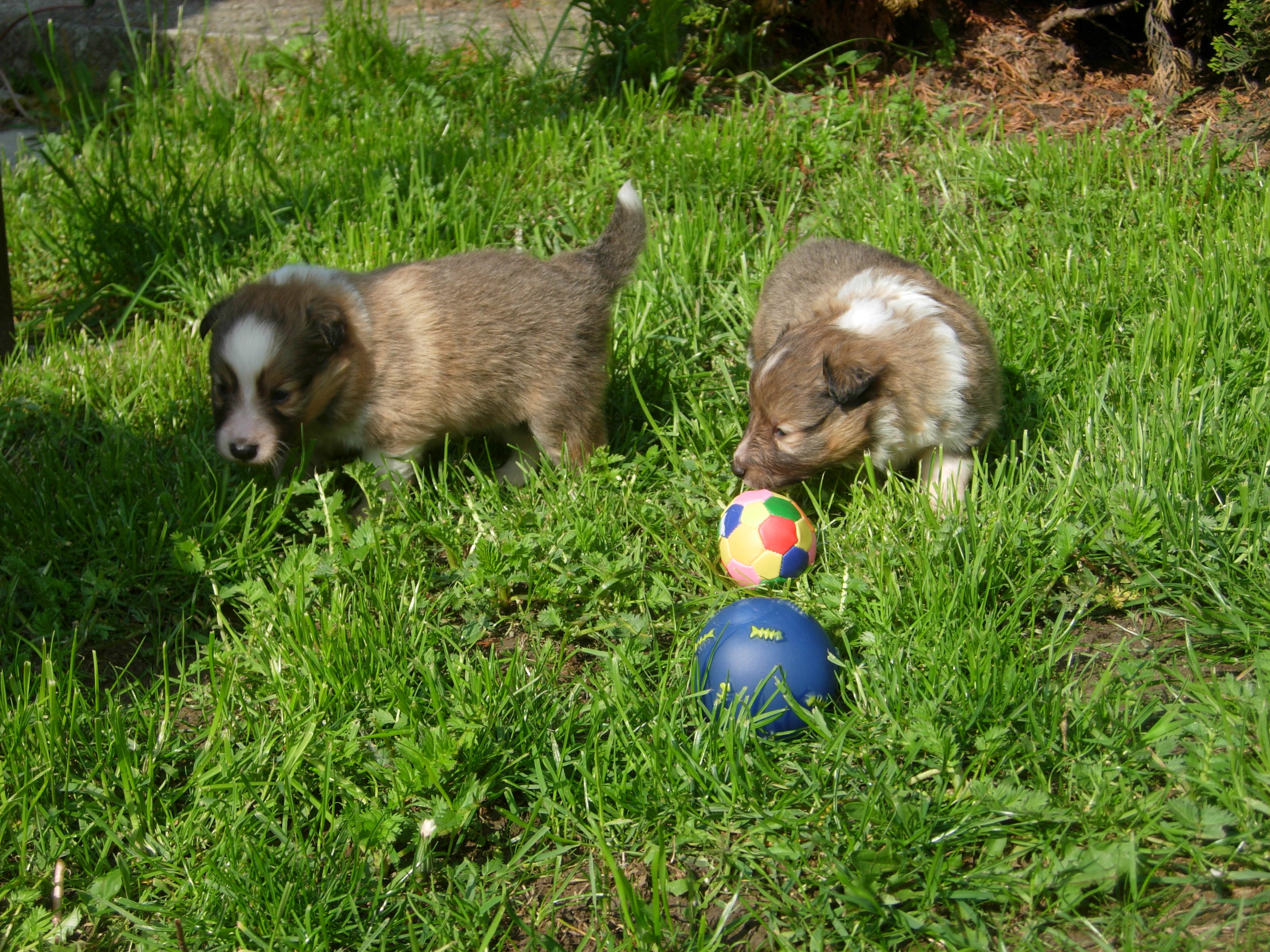DSCN0163.JPG